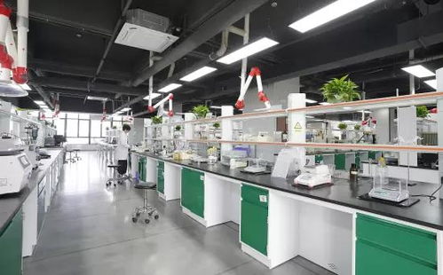 技术驱动，全球布局 一家润滑油企业的出海新篇章